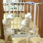 Baby Gate Safety Gate